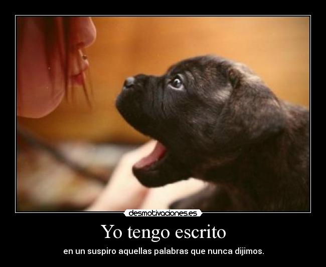 Yo tengo escrito - en un suspiro aquellas palabras que nunca dijimos.