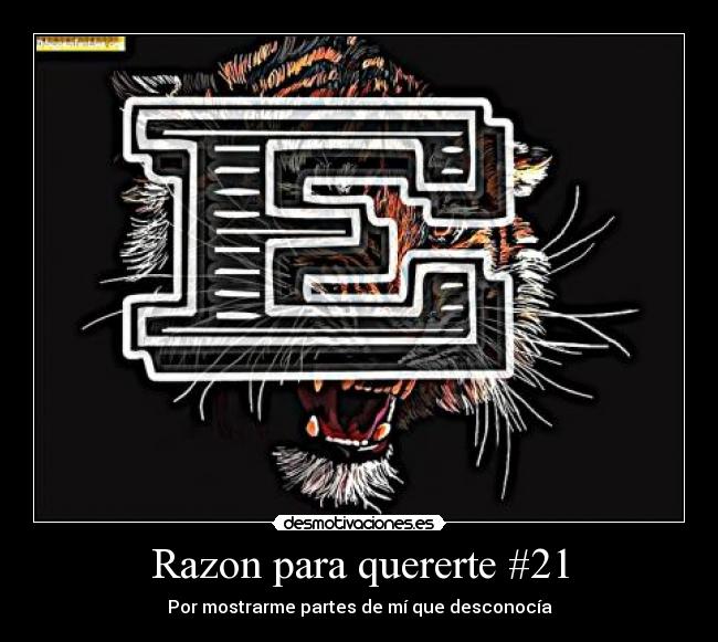 Razon para quererte #21 - Por mostrarme partes de mí que desconocía