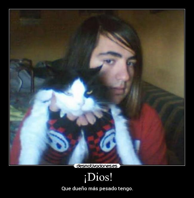 ¡Dios! - Que dueño más pesado tengo.