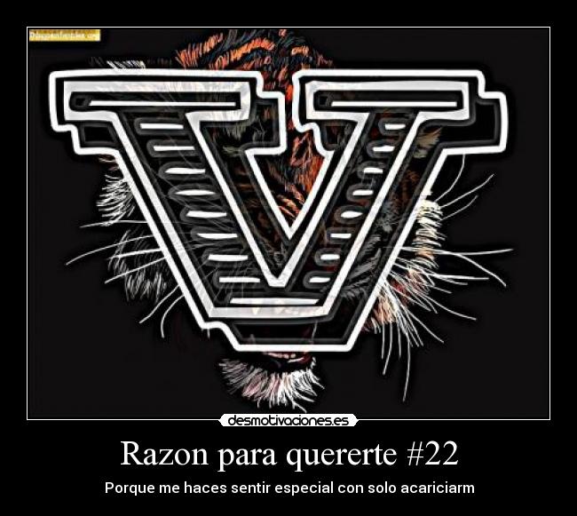 Razon para quererte #22 - Porque me haces sentir especial con solo acariciarm