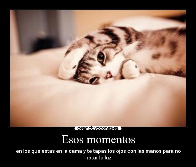 Esos momentos - 