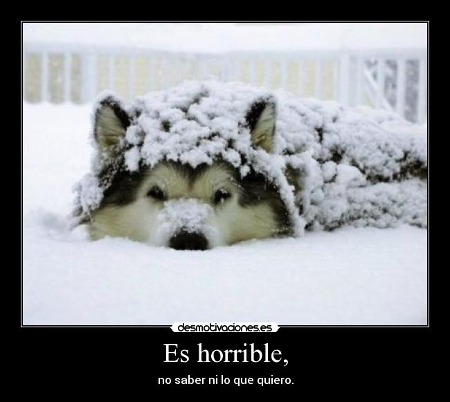 Es horrible, - 