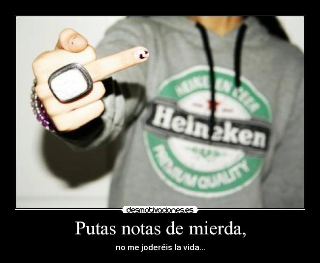 Putas notas de mierda, - no me joderéis la vida...