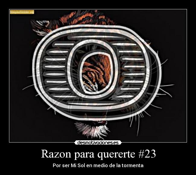 Razon para quererte #23 - Por ser Mi Sol en medio de la tormenta