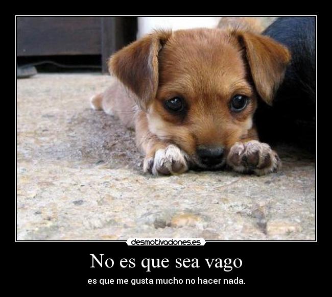 No es que sea vago -