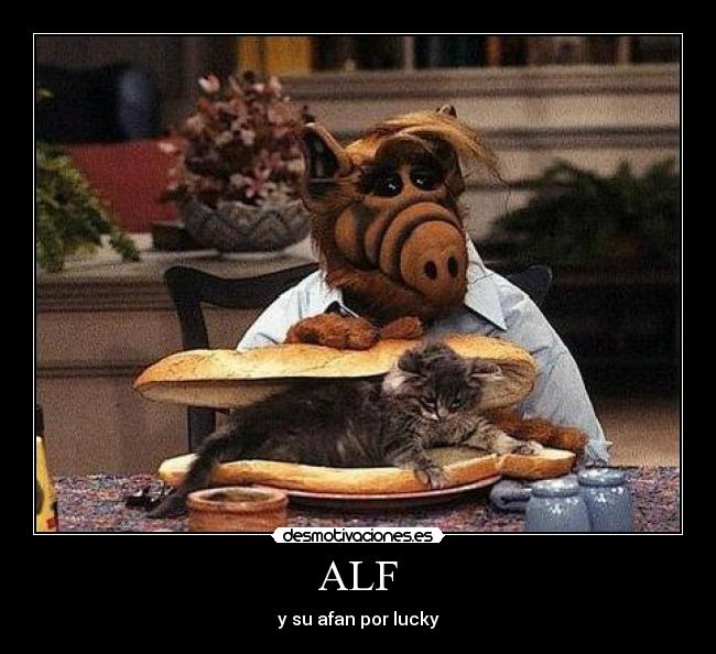 ALF - 