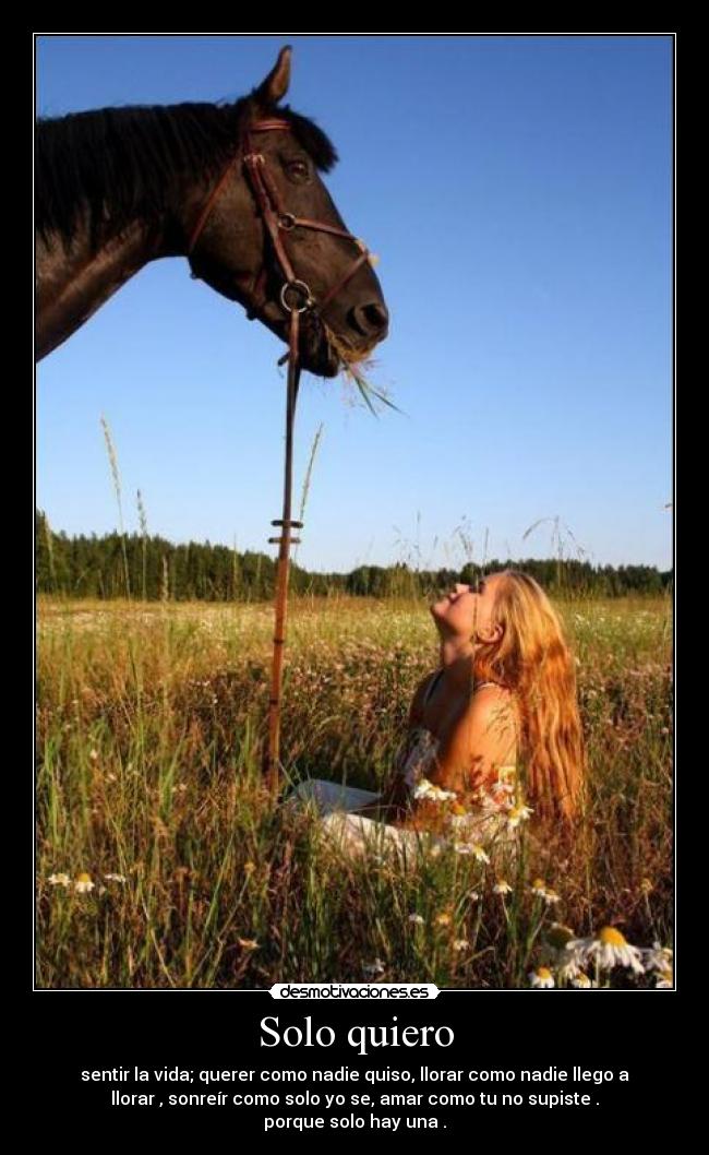 Solo quiero -