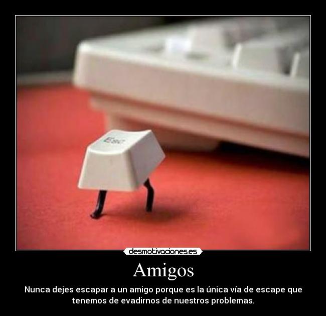 Amigos - Nunca dejes escapar a un amigo porque es la única vía de escape que
tenemos de evadirnos de nuestros problemas.