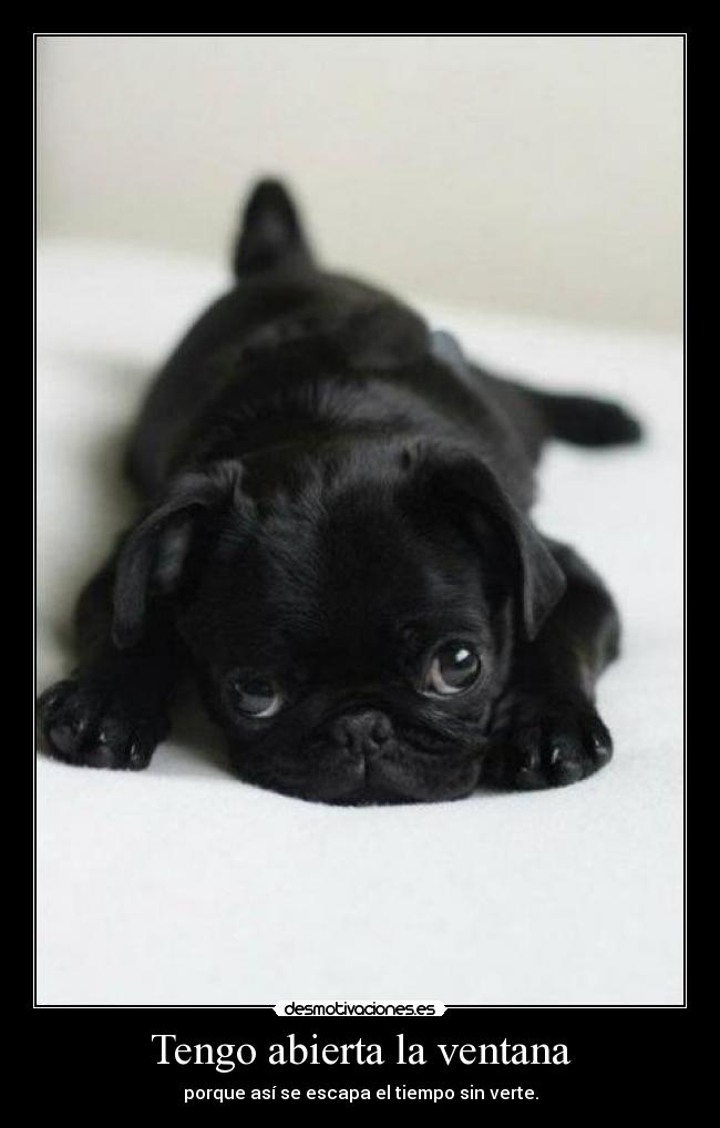 Tengo abierta la ventana - porque así se escapa el tiempo sin verte.