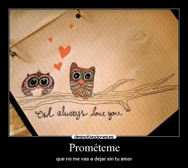 Prométeme - que no me vas a dejar sin tu amor