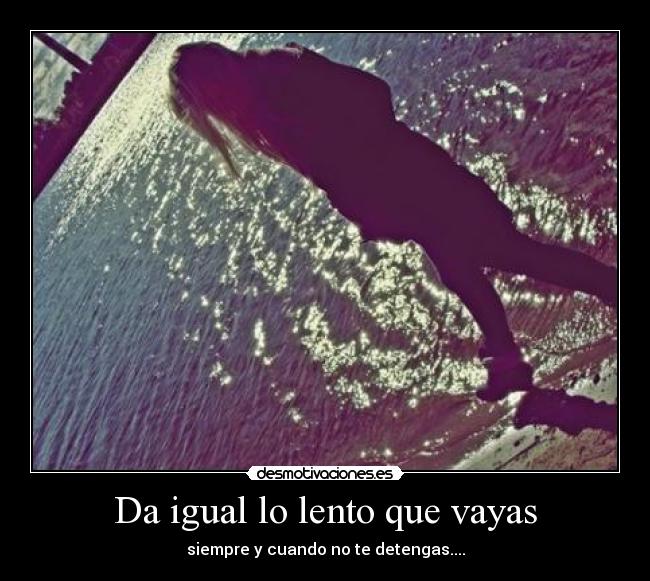 Da igual lo lento que vayas - siempre y cuando no te detengas....