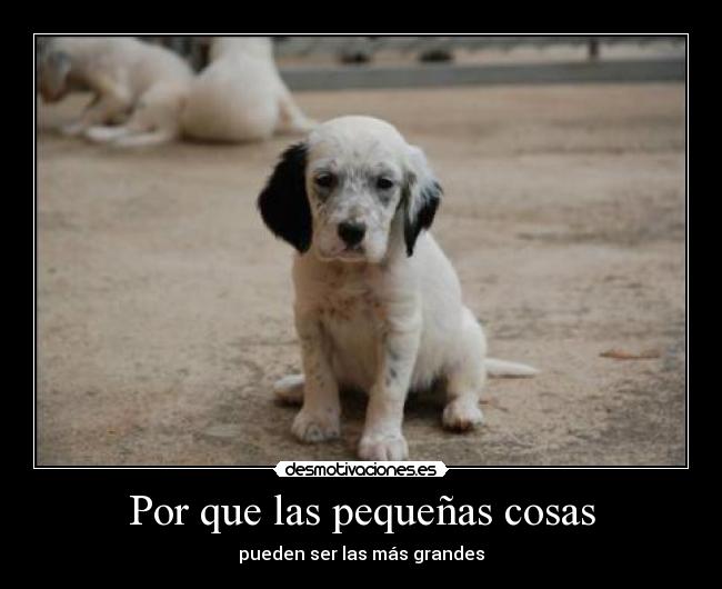 Por que las pequeñas cosas - pueden ser las más grandes