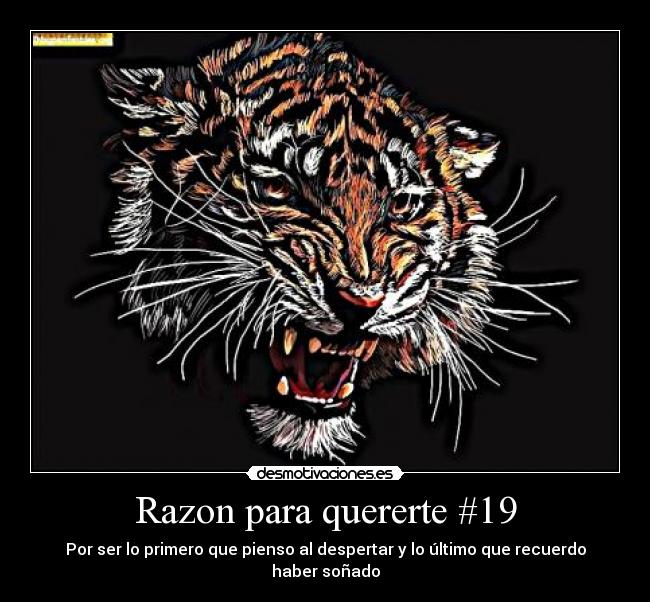 Razon para quererte #19 - Por ser lo primero que pienso al despertar y lo último que recuerdo haber soñado