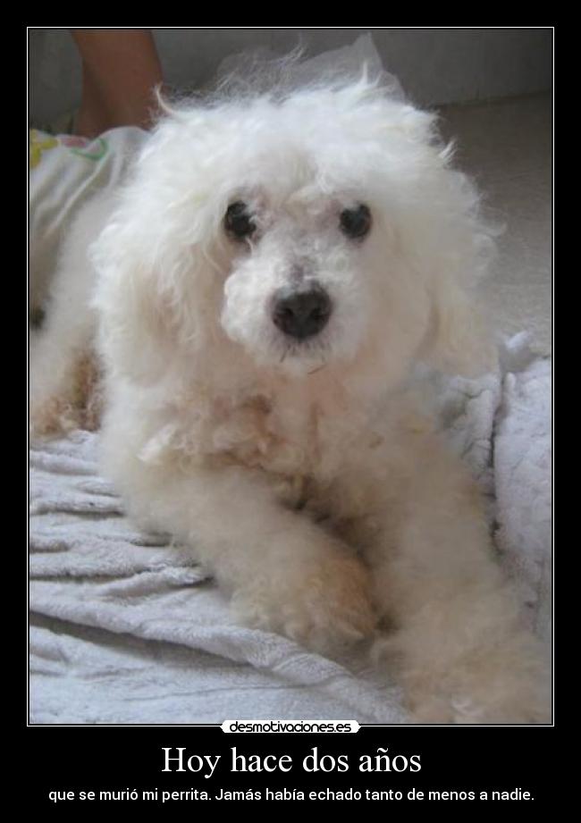 Hoy hace dos años - que se murió mi perrita. Jamás había echado tanto de menos a nadie.