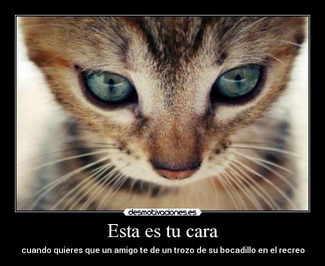 Esta es tu cara - cuando quieres que un amigo te de un trozo de su bocadillo en el recreo