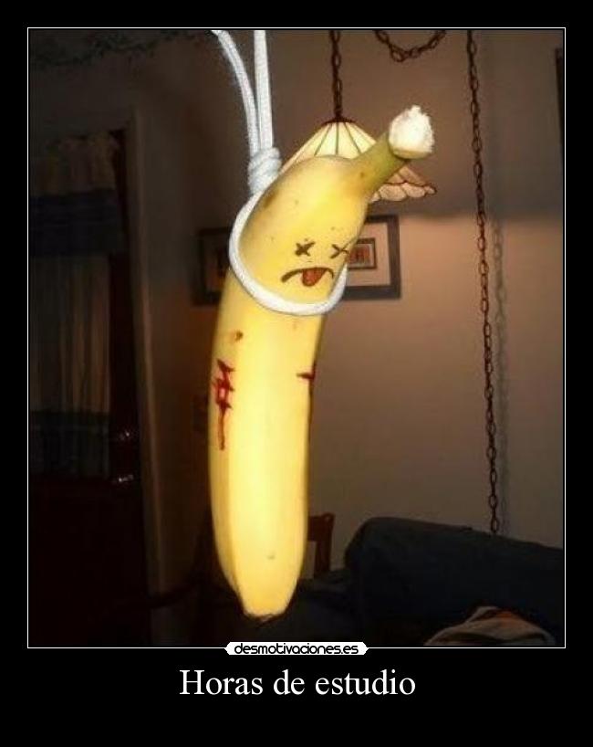 Horas de estudio -