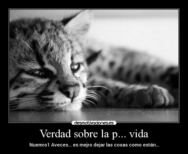 Verdad sobre la p... vida - 