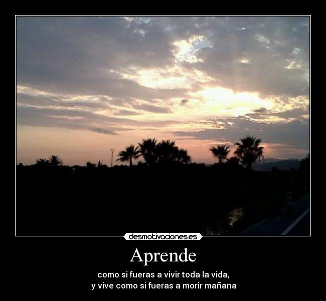 carteles momento surrealista galllo maximo maxima desmotivaciones