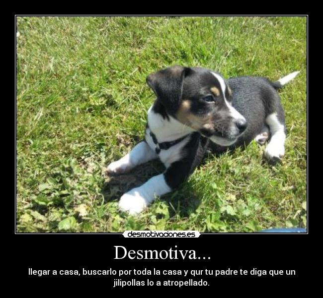 Desmotiva... - 