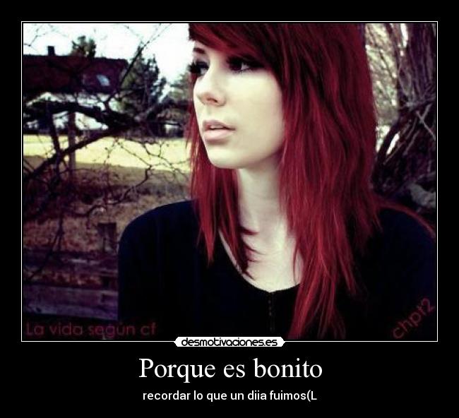 Porque es bonito - 