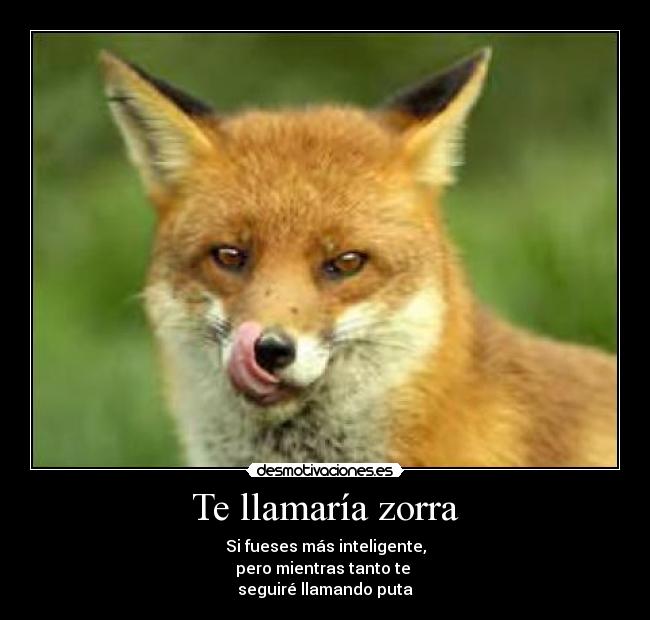 Te llamaría zorra - 