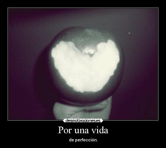 Por una vida - de perfección.