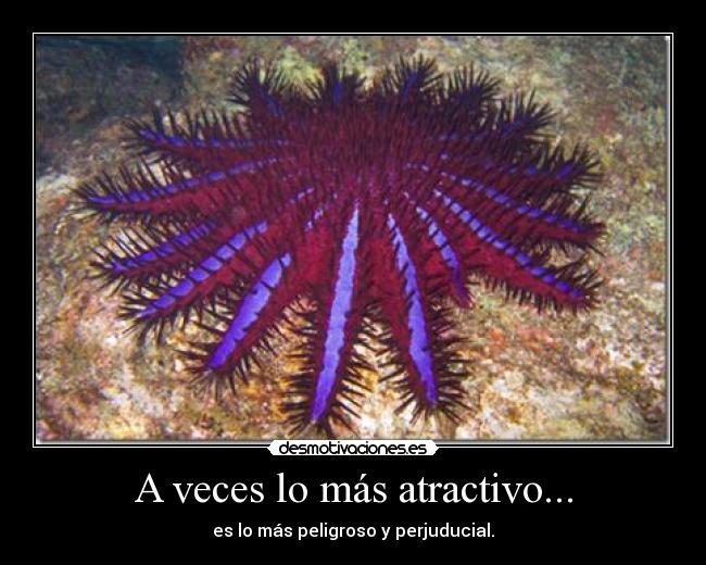 A veces lo más atractivo... - es lo más peligroso y perjuducial.