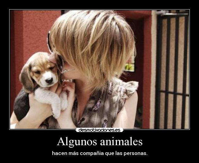 Algunos animales -