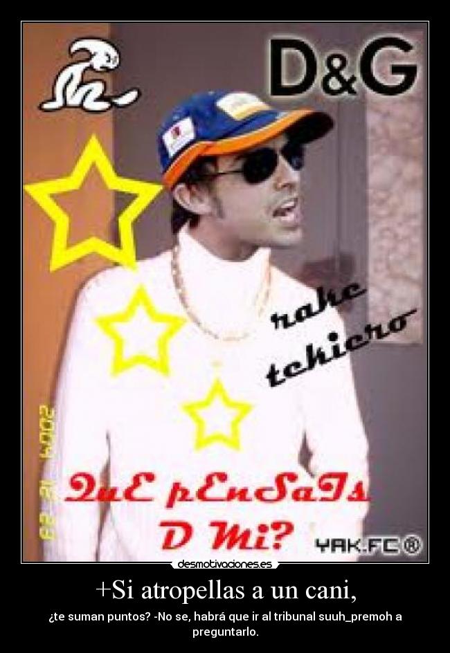 +Si atropellas a un cani, -