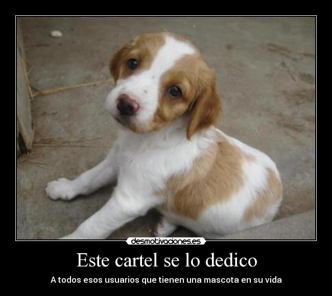 Este cartel se lo dedico - 