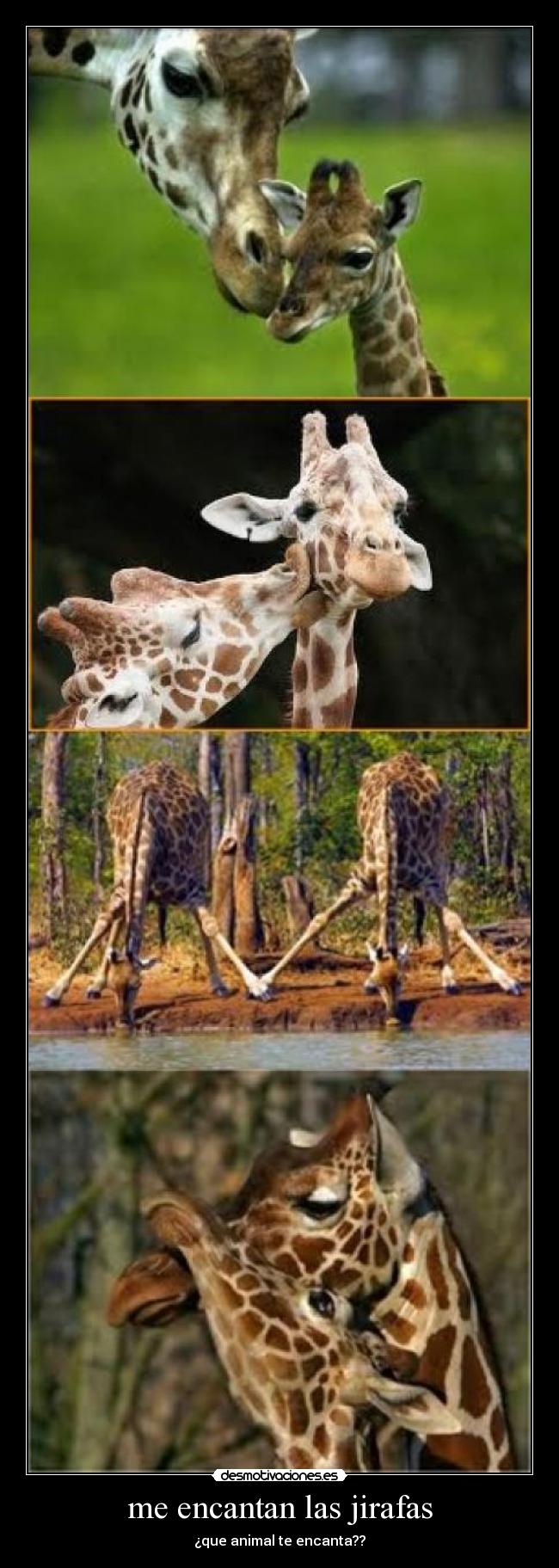 carteles encantan desmotivaciones