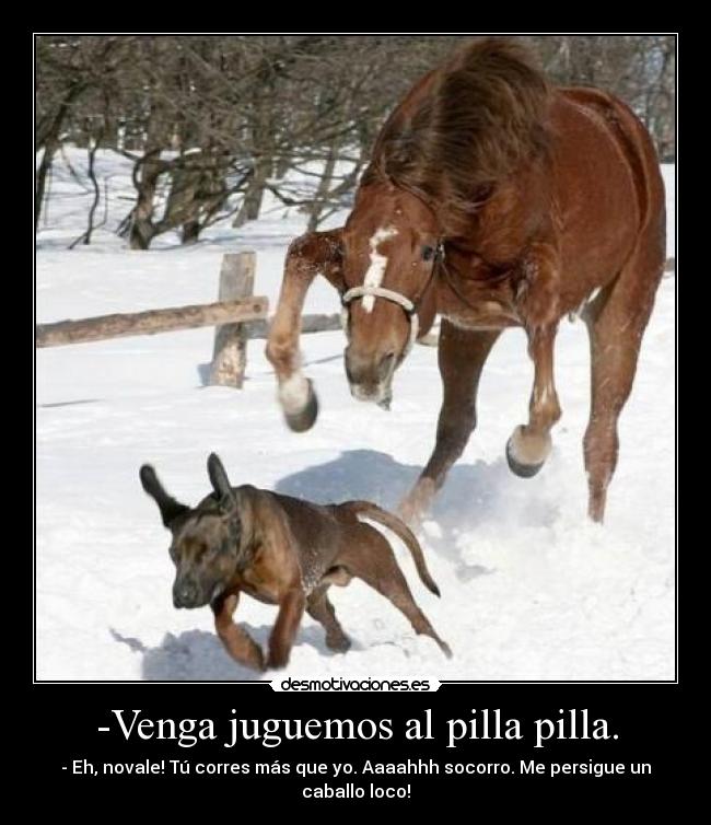 -Venga juguemos al pilla pilla. - - Eh, novale! Tú corres más que yo. Aaaahhh socorro. Me persigue un caballo loco!