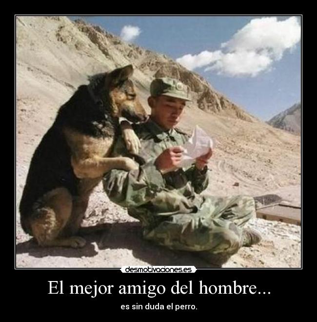 El mejor amigo del hombre... - es sin duda el perro.