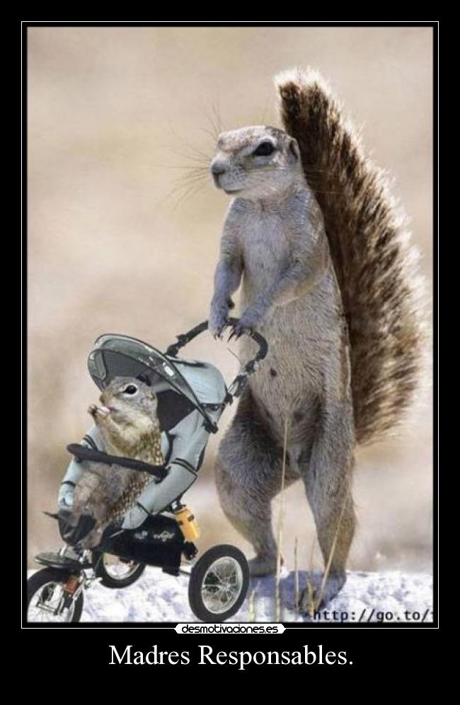 Madres Responsables. - 