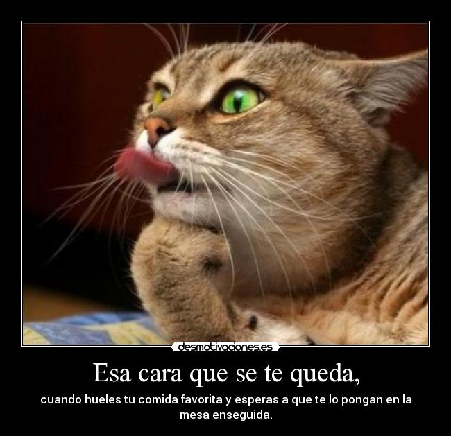 Esa cara que se te queda, - 