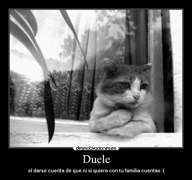 Duele - el darse cuenta de que ni si quiera con tu familia cuentas :(