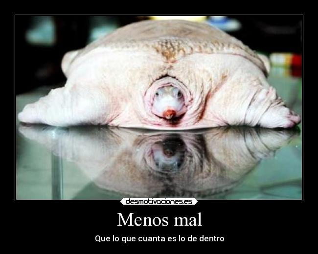 Menos mal - 