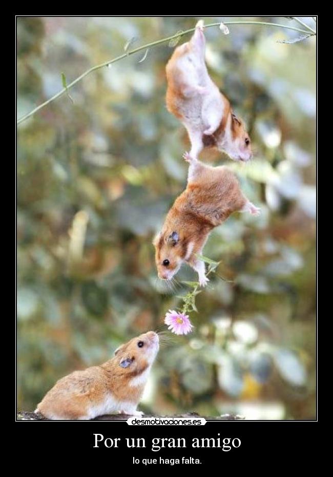 Por un gran amigo - lo que haga falta.
