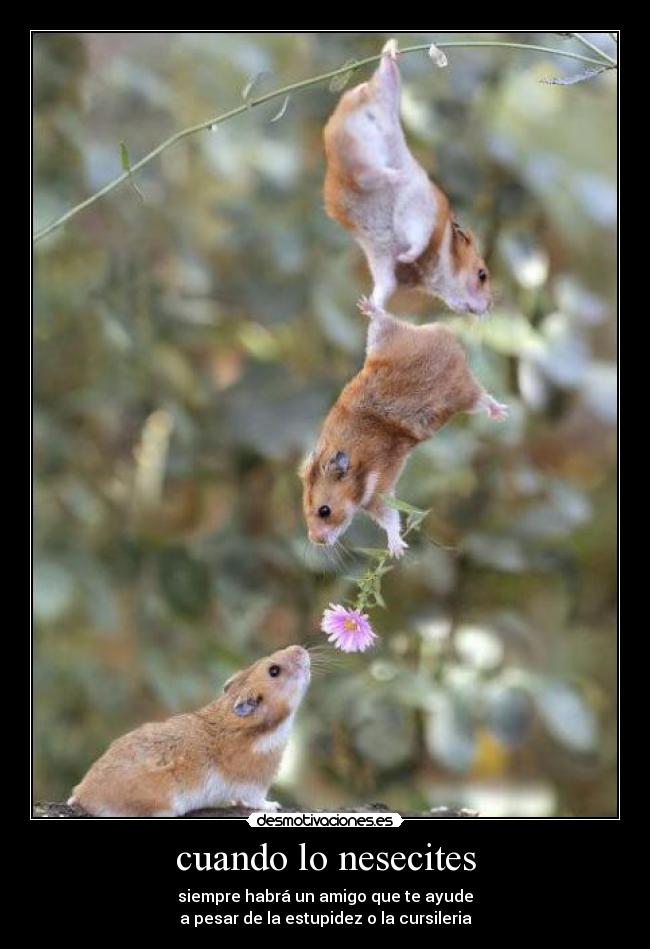 cuando lo nesecites -