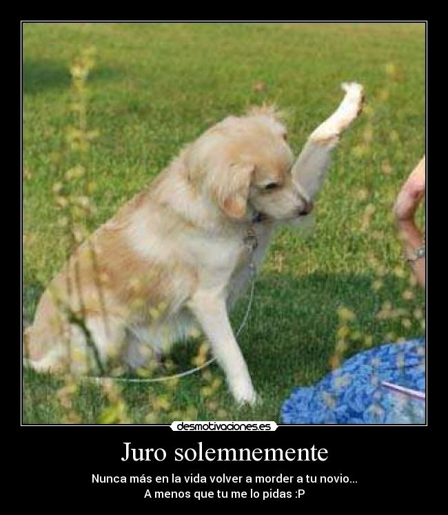 carteles juramento desmotivaciones