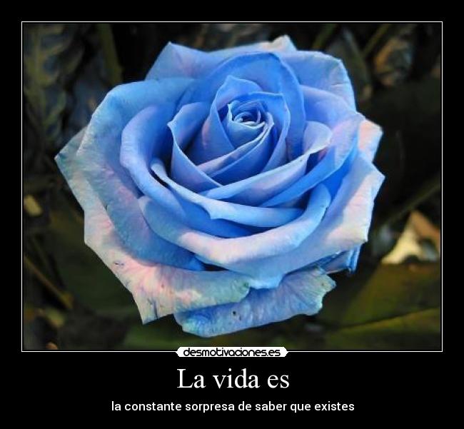 La vida es - la constante sorpresa de saber que existes
