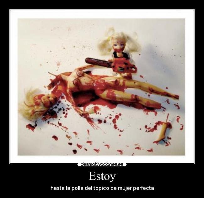 Estoy - hasta la polla del topico de mujer perfecta