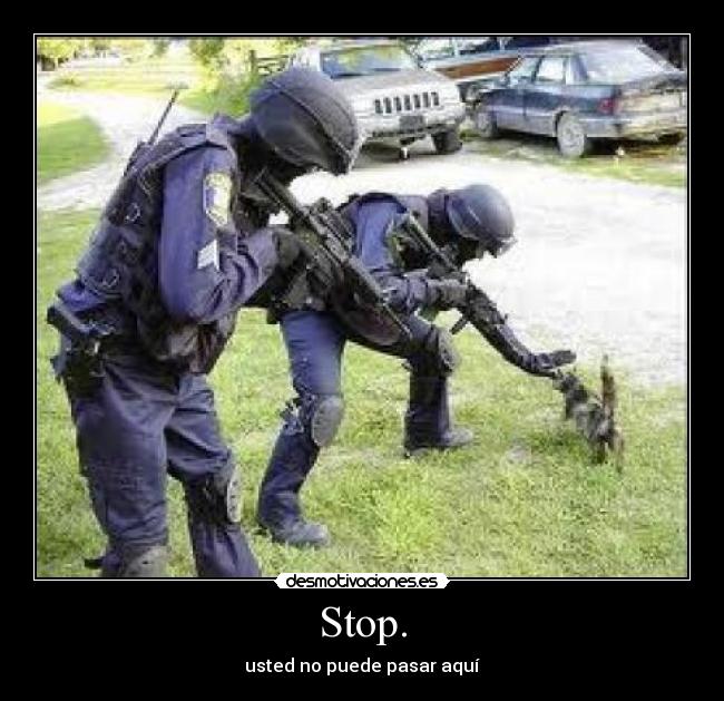 Stop. - usted no puede pasar aquí