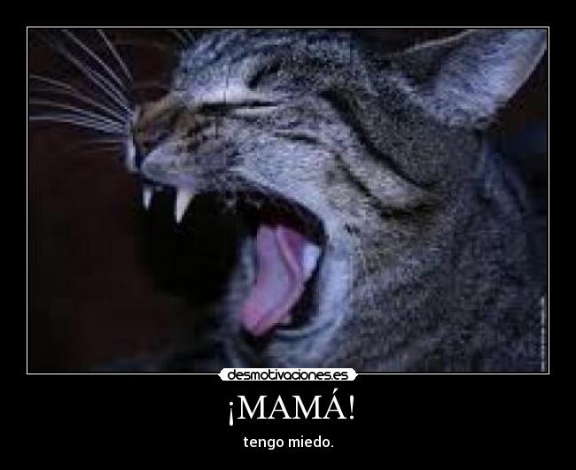 ¡MAMÁ! - tengo miedo.