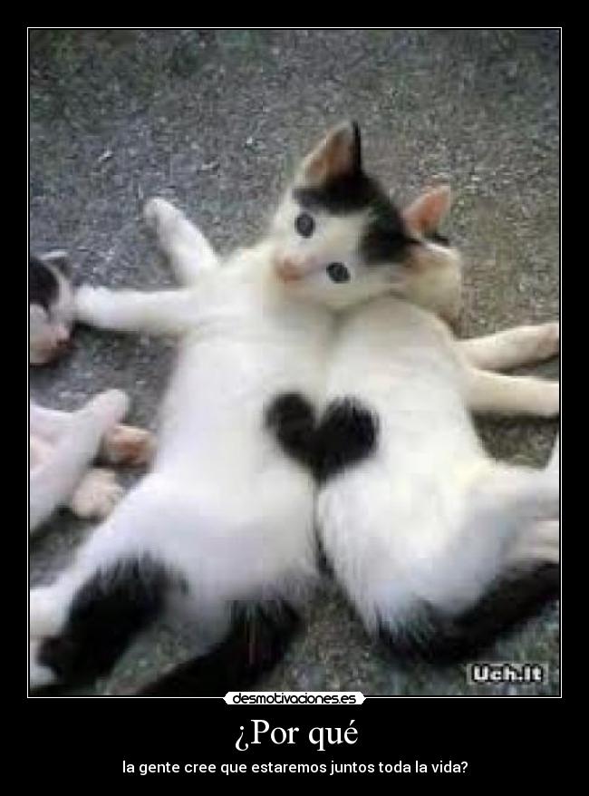 ¿Por qué - la gente cree que estaremos juntos toda la vida?