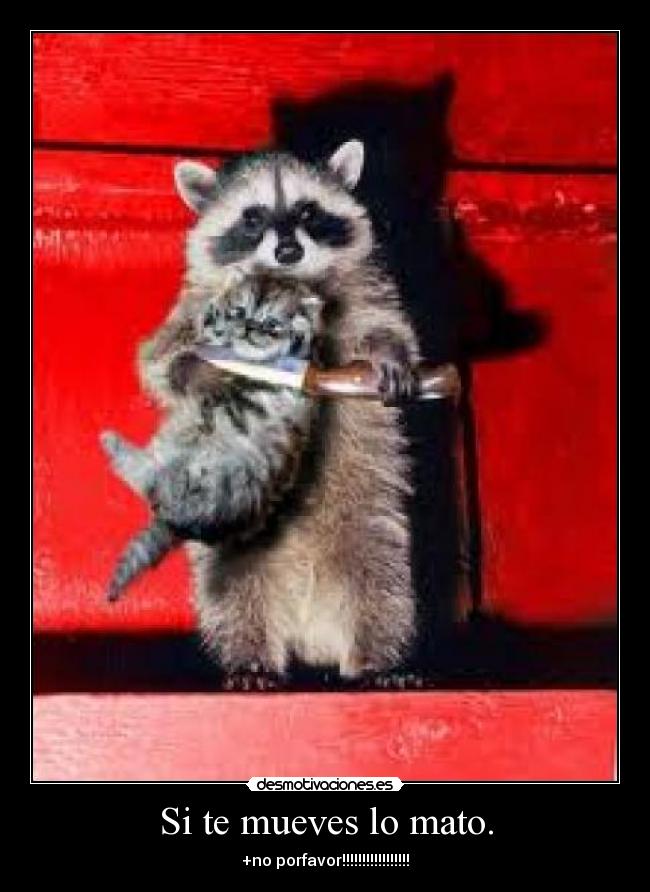 Si te mueves lo mato. - +no porfavor!!!!!!!!!!!!!!!!!