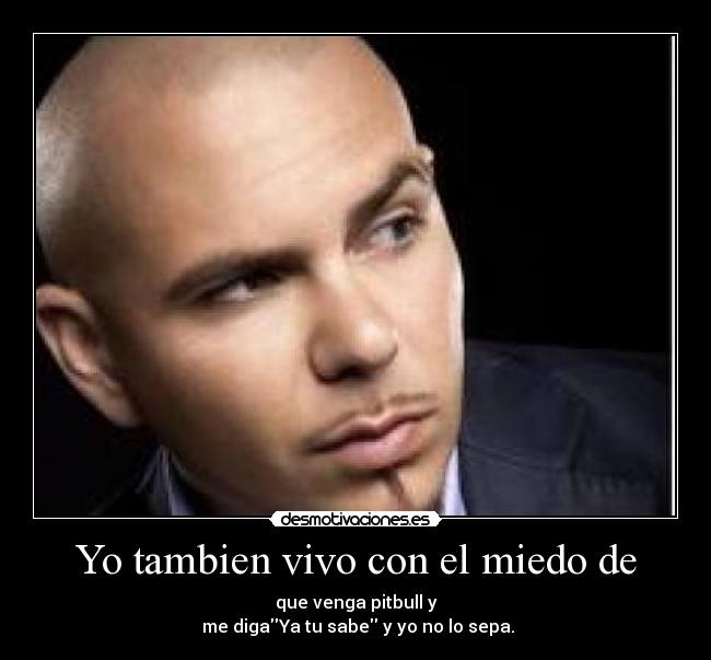 carteles miedo pitbull desmotivaciones