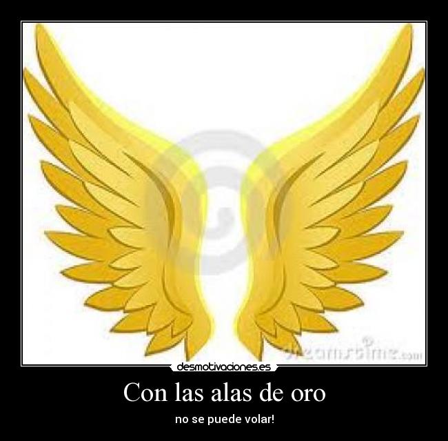 Con las alas de oro - no se puede volar!