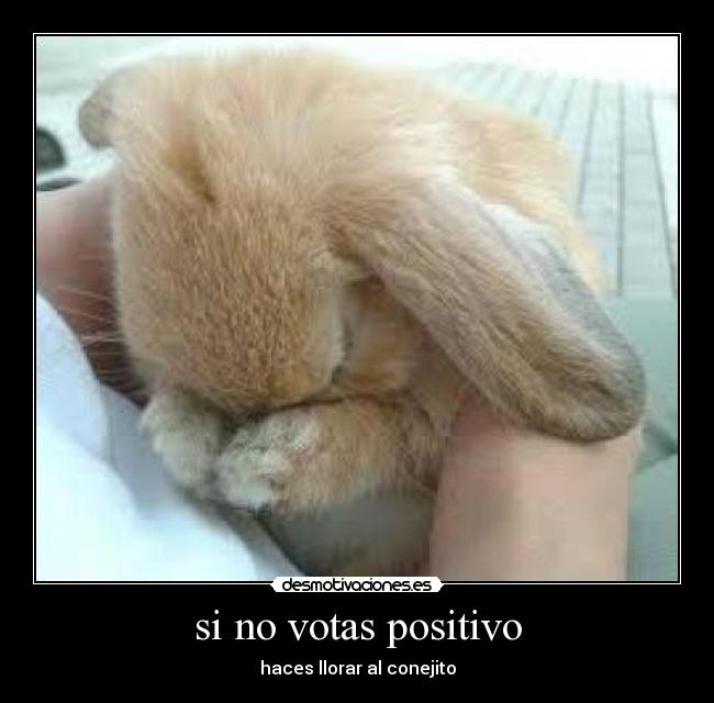 si no votas positivo - 