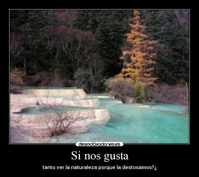 Si nos gusta - tanto ver la naturaleza porque la destosamos?¿